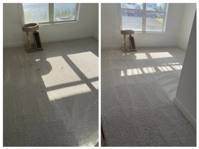 The same carpet in a sunny room by the window before cleaning (left) and after cleaning (right)