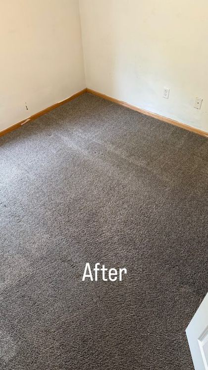 Room carpet after cleaning
