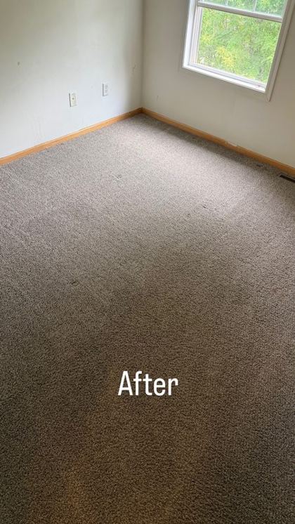 Bedroom carpet after cleaning