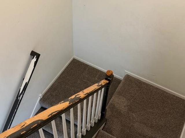 Stair carpet after cleaning