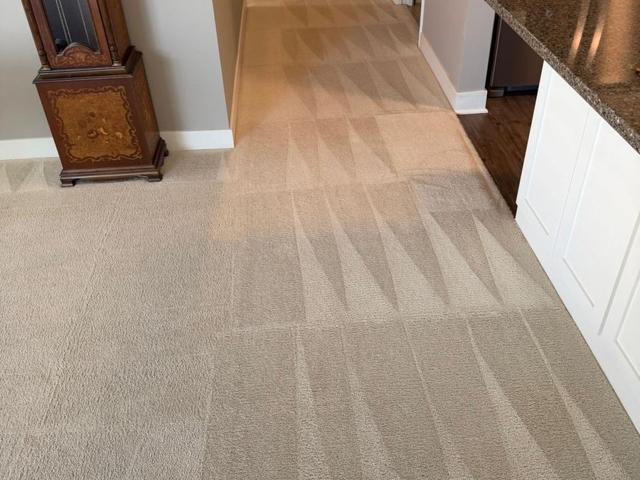 Freshly cleaned carpet leading down a hallway