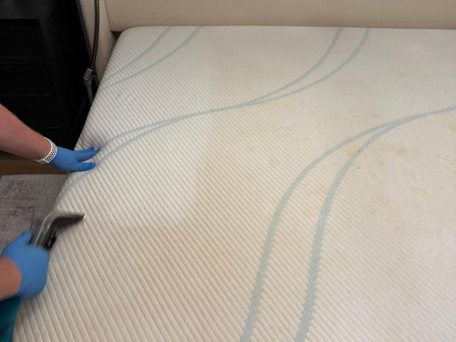 Warm Home Cleaning technician cleaning a mattress with a professional extraction tool