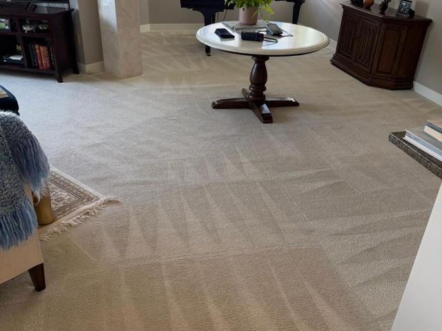 Bright living room carpet with fresh cleaning lines in a customer’s home