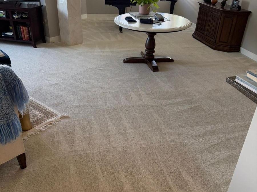 Bright living room carpet with fresh cleaning lines in a customer’s home