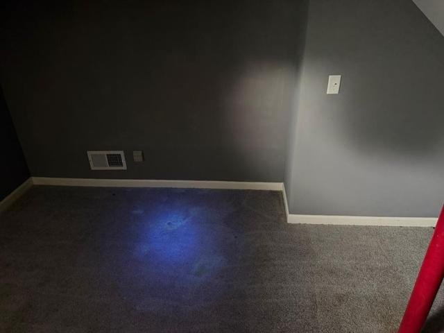 UV light inspection to locate pet stains