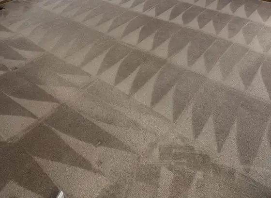Heather Klosowsky's thirty-year-old beige carpet after cleaning, showing even cleaning patterns across the room