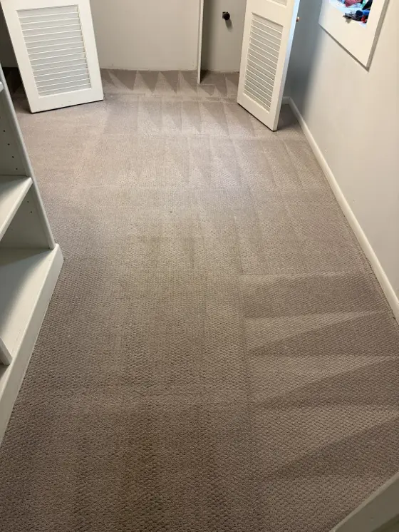 Freshly cleaned gray-beige carpet in Kia Hanson's walk-in closet, with fresh cleaning lines visible