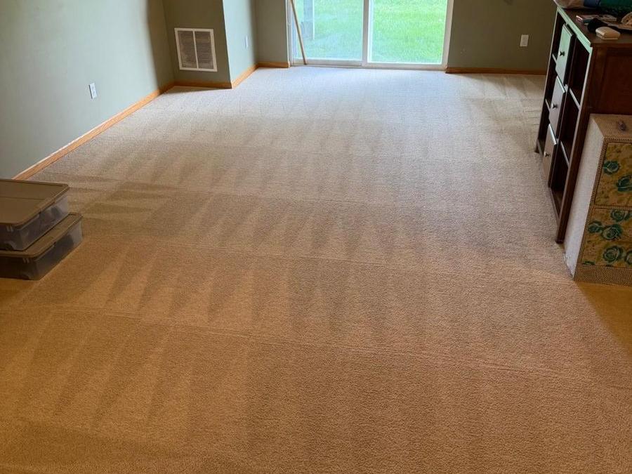 Bright room with freshly cleaned carpet