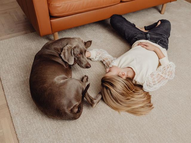 Dog relaxing with its owner on a clean, light carpet
